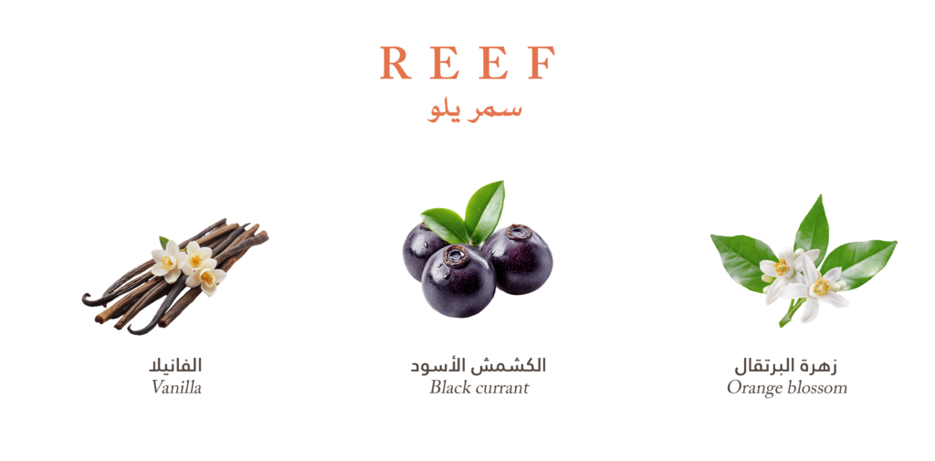 Gissah Parfum Maroc l عطور قصة المغرب